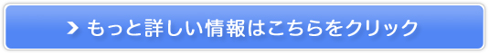 X}[gN̔TCg